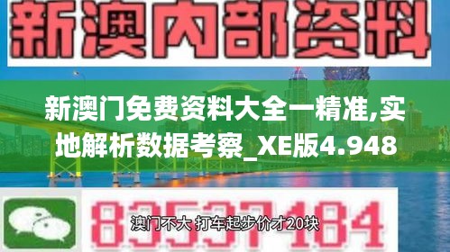 新澳门免费资料大全一精准,实地解析数据考察_XE版4.948