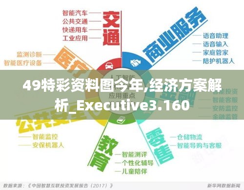 49特彩资料图今年,经济方案解析_Executive3.160