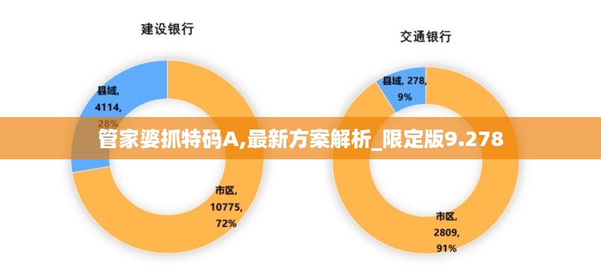 管家婆抓特码A,最新方案解析_限定版9.278