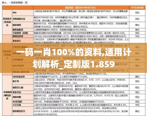 一码一肖100%的资料,适用计划解析_定制版1.859