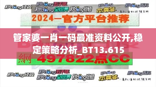 管家婆一肖一码最准资料公开,稳定策略分析_BT13.615