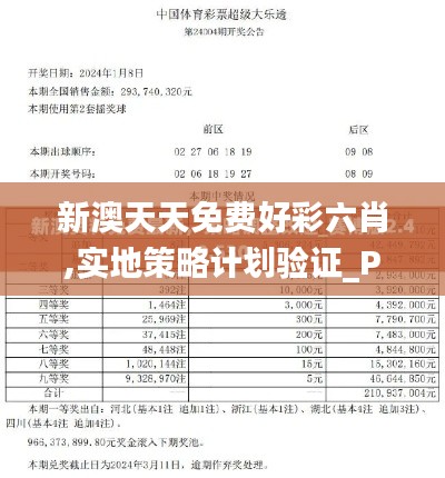 新澳天天免费好彩六肖,实地策略计划验证_PT5.933