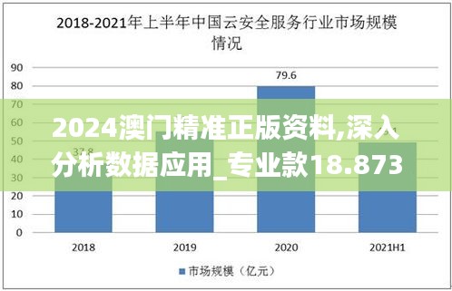 2024澳门精准正版资料,深入分析数据应用_专业款18.873