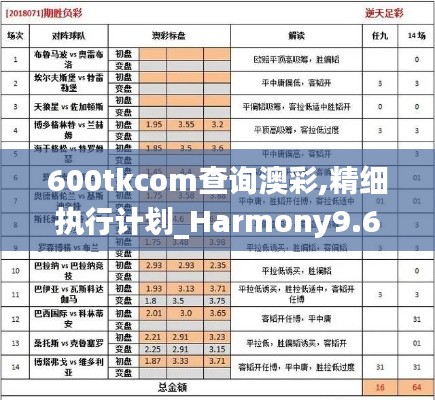 600tkcom查询澳彩,精细执行计划_Harmony9.642