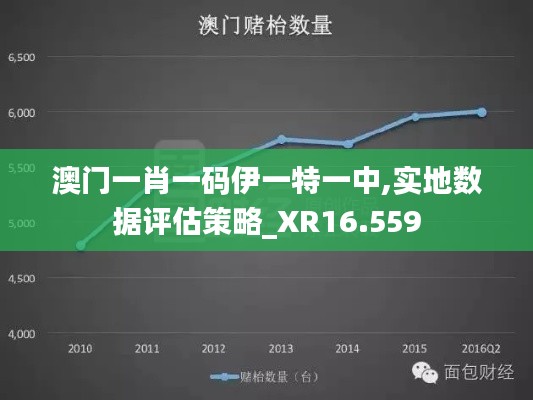 澳门一肖一码伊一特一中,实地数据评估策略_XR16.559