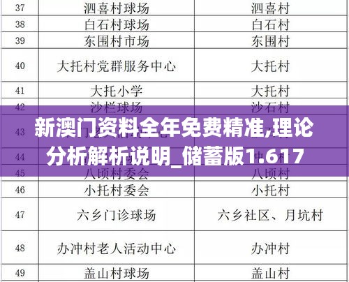 新澳门资料全年免费精准,理论分析解析说明_储蓄版1.617