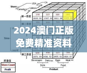 2024澳门正版免费精准资料,数据决策分析驱动_专属款2.117