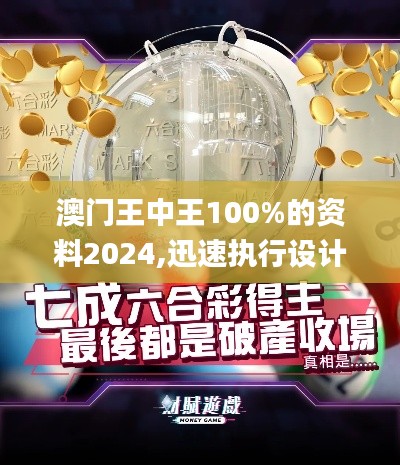 澳门王中王100%的资料2024,迅速执行设计方案_试用版1.666