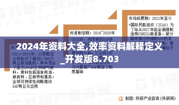 2024年资料大全,效率资料解释定义_开发版8.703