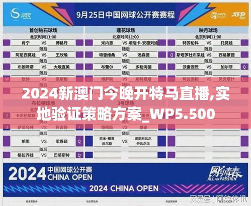 2024新澳门今晚开特马直播,实地验证策略方案_WP5.500