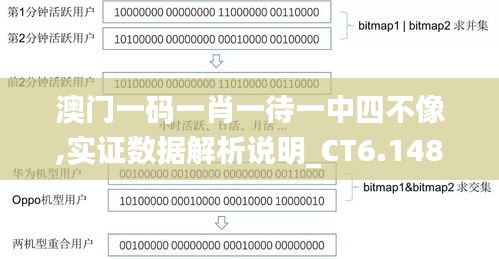 澳门一码一肖一待一中四不像,实证数据解析说明_CT6.148