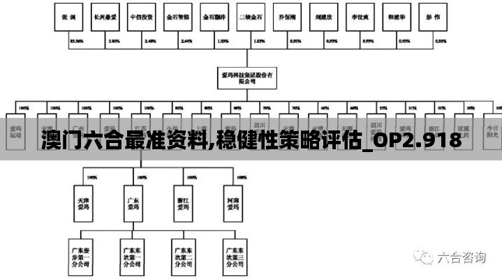 澳门六合最准资料,稳健性策略评估_OP2.918