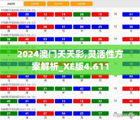 2024澳门天天彩,灵活性方案解析_XE版4.611