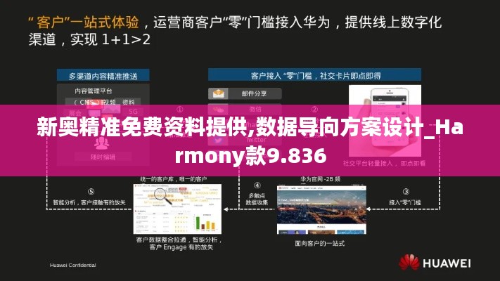 新奥精准免费资料提供,数据导向方案设计_Harmony款9.836