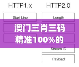 澳门三肖三码精准100%的背景和意义,现状分析解释定义_V版5.460