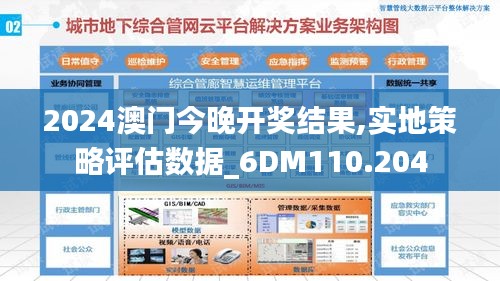 2024澳门今晚开奖结果,实地策略评估数据_6DM110.204