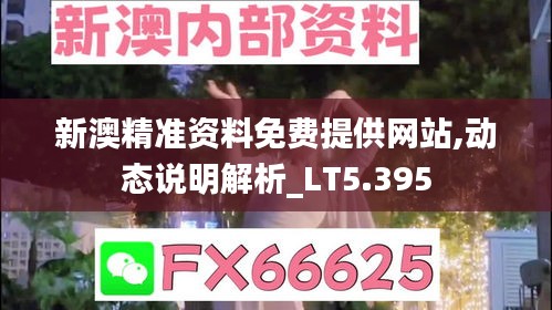 新澳精准资料免费提供网站,动态说明解析_LT5.395