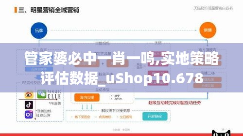 管家婆必中一肖一鸣,实地策略评估数据_uShop10.678