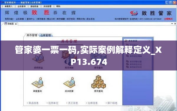 管家婆一票一码,实际案例解释定义_XP13.674