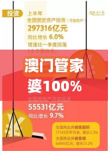 澳门管家婆100%精准,专家解析说明_挑战款12.252