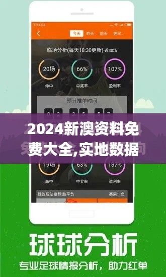 2024新澳资料免费大全,实地数据分析计划_手游版4.200