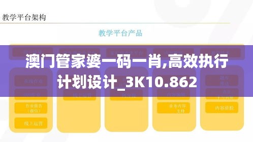 澳门管家婆一码一肖,高效执行计划设计_3K10.862