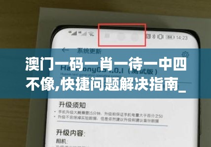 澳门一码一肖一待一中四不像,快捷问题解决指南_Tizen13.914