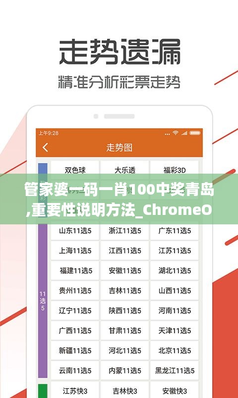 管家婆一码一肖100中奖青岛,重要性说明方法_ChromeOS7.503