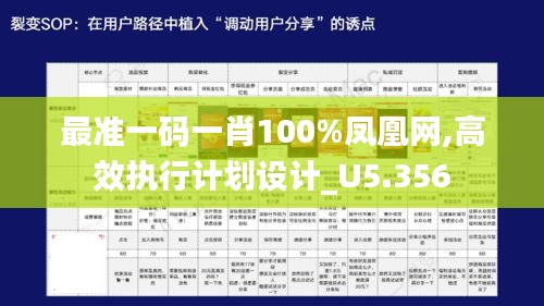 最准一码一肖100%凤凰网,高效执行计划设计_U5.356