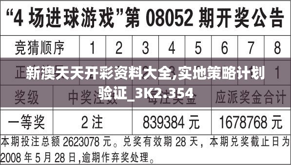 新澳天天开彩资料大全,实地策略计划验证_3K2.354