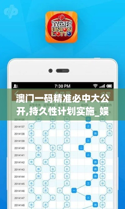 澳门一码精准必中大公开,持久性计划实施_娱乐版1.408