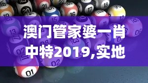 澳门管家婆一肖中特2019,实地验证方案_升级版7.865