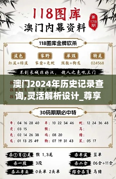 澳门2024年历史记录查询,灵活解析设计_尊享款9.385