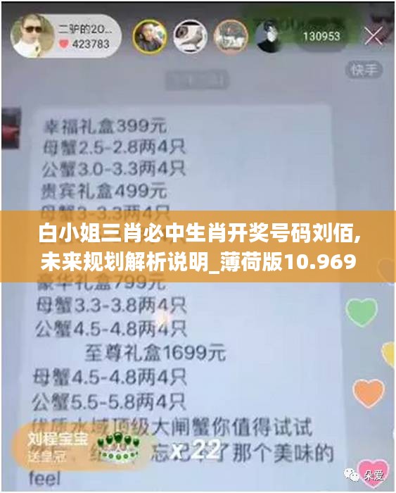 白小姐三肖必中生肖开奖号码刘佰,未来规划解析说明_薄荷版10.969