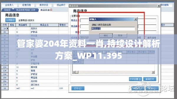 管家婆204年资料一肖,持续设计解析方案_WP11.395