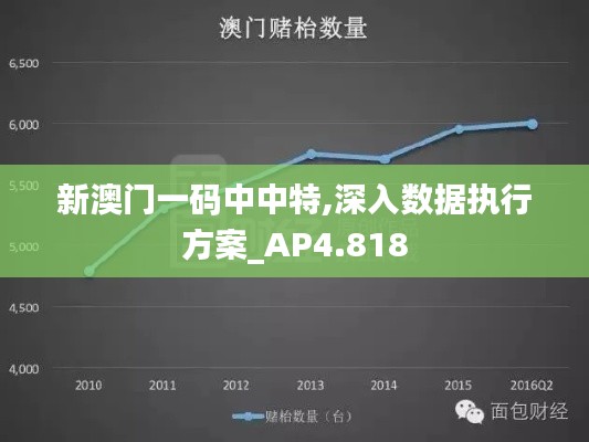 新澳门一码中中特,深入数据执行方案_AP4.818