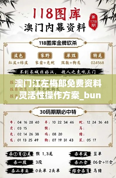 澳门江左梅郎免费资料,灵活性操作方案_bundle5.291