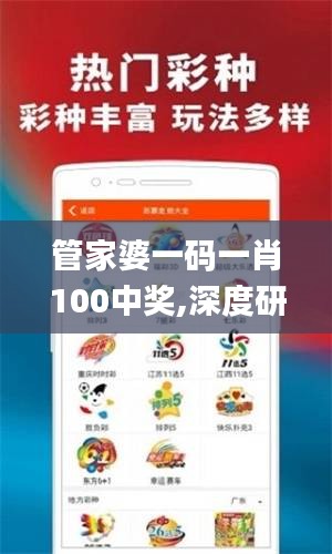 管家婆一码一肖100中奖,深度研究解释定义_X6.724