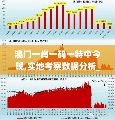 澳门一肖一码一特中今晚,实地考察数据分析_Pixel16.376