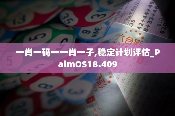 一肖一码一一肖一子,稳定计划评估_PalmOS18.409