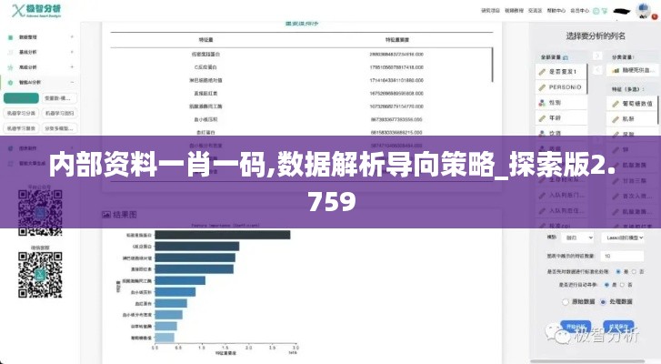 内部资料一肖一码,数据解析导向策略_探索版2.759