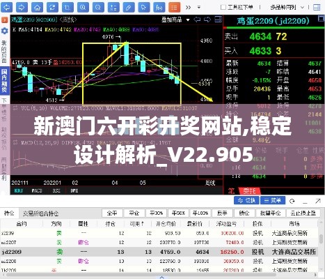 新澳门六开彩开奖网站,稳定设计解析_V22.905