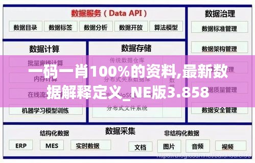 一码一肖100%的资料,最新数据解释定义_NE版3.858