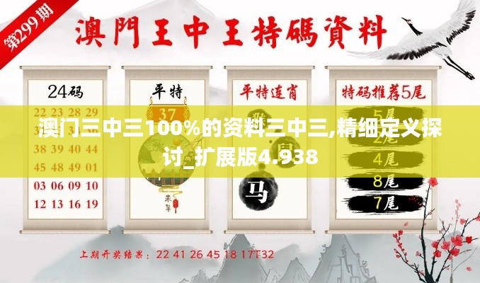 澳门三中三100%的资料三中三,精细定义探讨_扩展版4.938