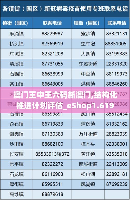 澳门王中王六码新澳门,结构化推进计划评估_eShop1.619