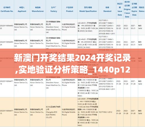 新澳门开奖结果2024开奖记录,实地验证分析策略_1440p12.891