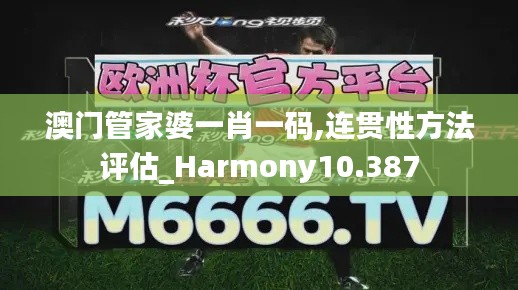 澳门管家婆一肖一码,连贯性方法评估_Harmony10.387