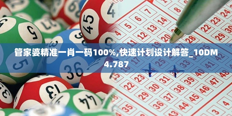 管家婆精准一肖一码100%,快速计划设计解答_10DM4.787