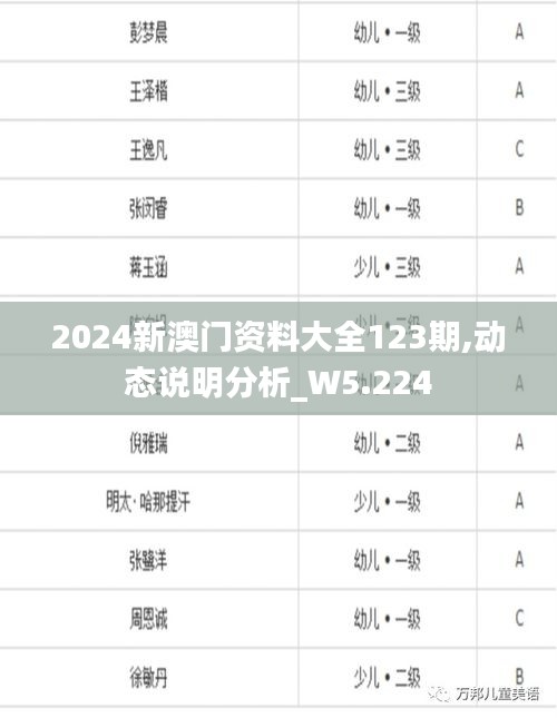 2024新澳门资料大全123期,动态说明分析_W5.224