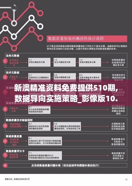 新澳精准资料免费提供510期,数据导向实施策略_影像版10.288